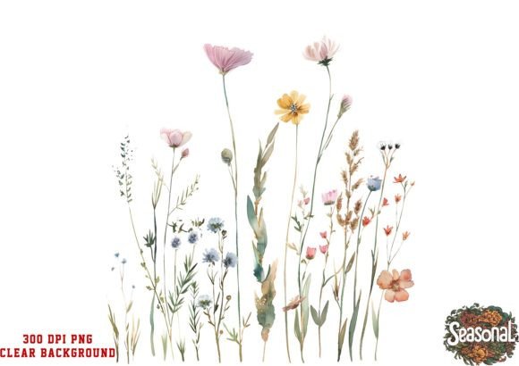 Download Delicate Wildflower Art - Wildflower Collection