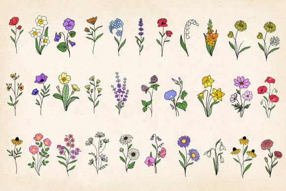 Download Hand-drawn Minimal Wildflowers Bundle - Wildflower Collection