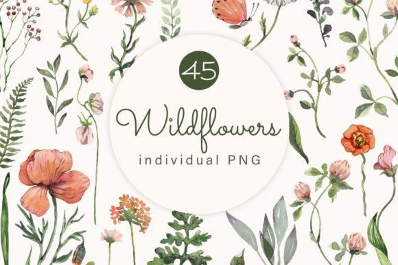 Download Watercolor Wildflowers Clipart - Wildflower Collection