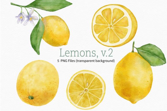 Download Lemon Watercolor Fruit Clipart Branch - Fruit clipart Collection